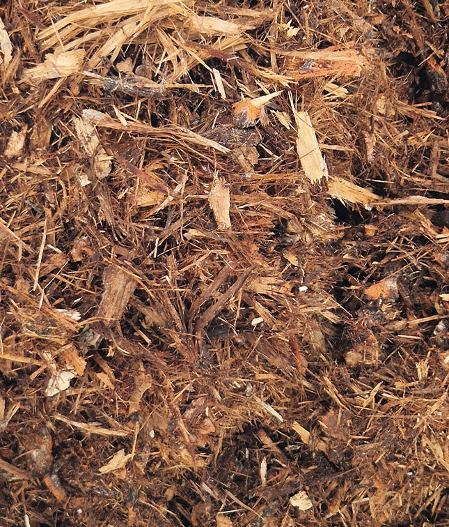 Tree bark prepared for biomass production