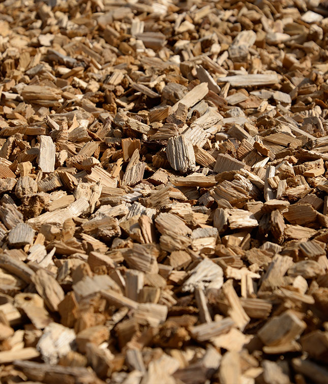 Wood chips prepared for industrial panel production