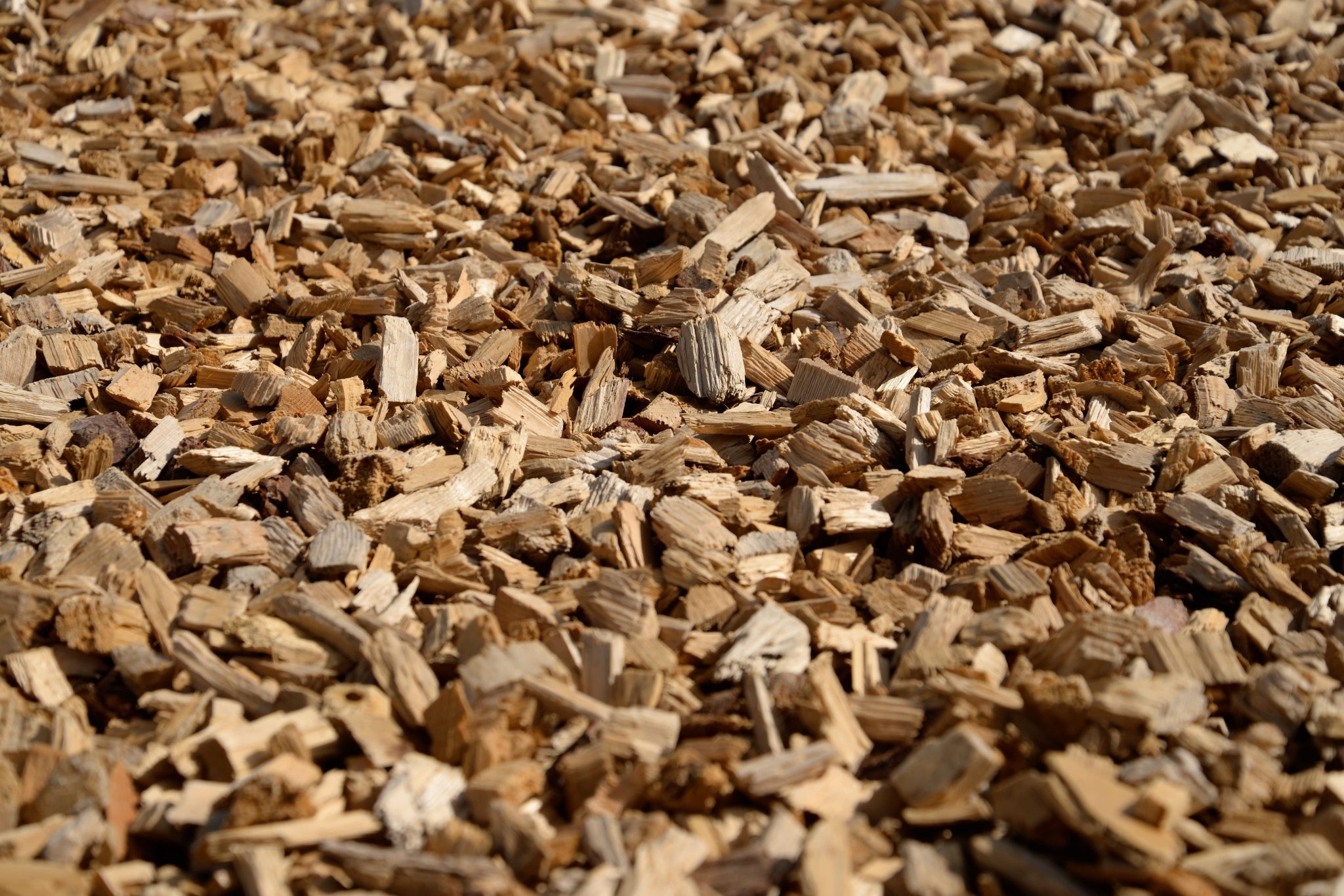 Wood chips prepared for biomass and panel production
