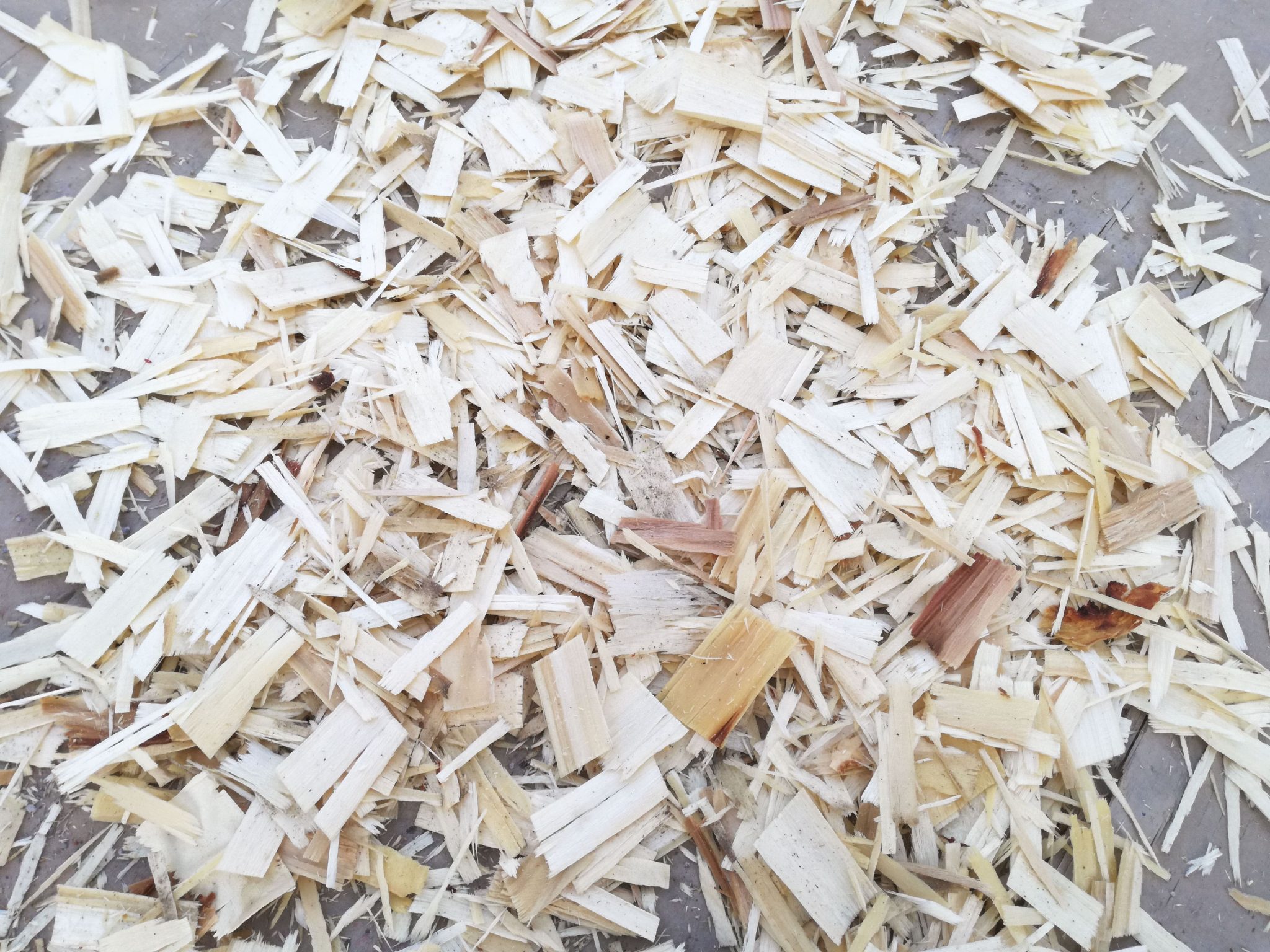 OSB panel manufactured with engineered wood strands