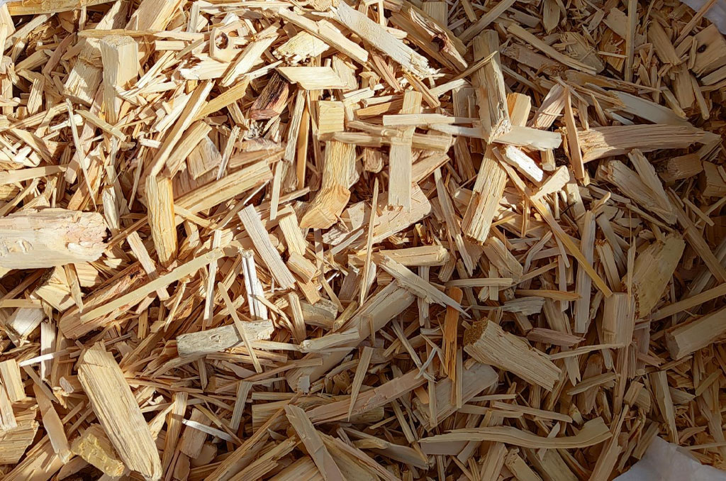 Wood chips prepared for industrial panel production